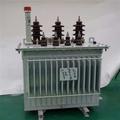 Yuanchen Global Export Oil Immersed Transformer Powers International Infrastructure Projects